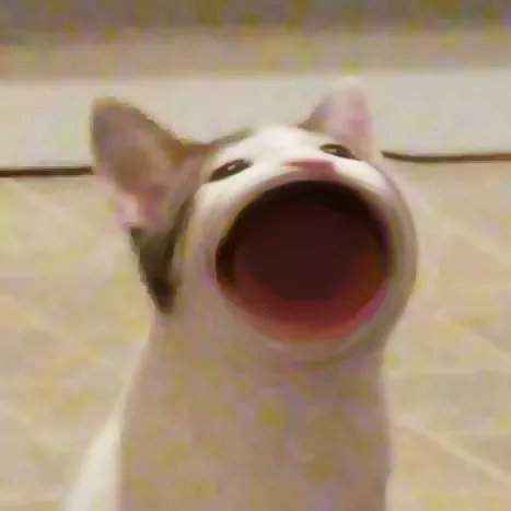 猫猫回收站设置教程